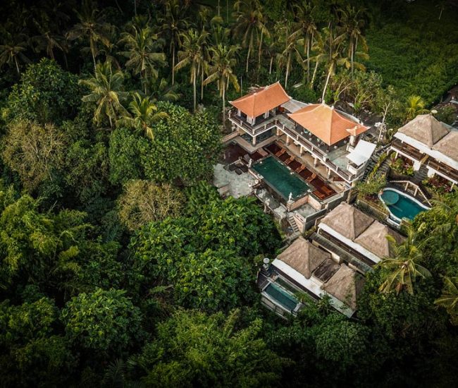 The-Pari-Sudha-Bali-5-1