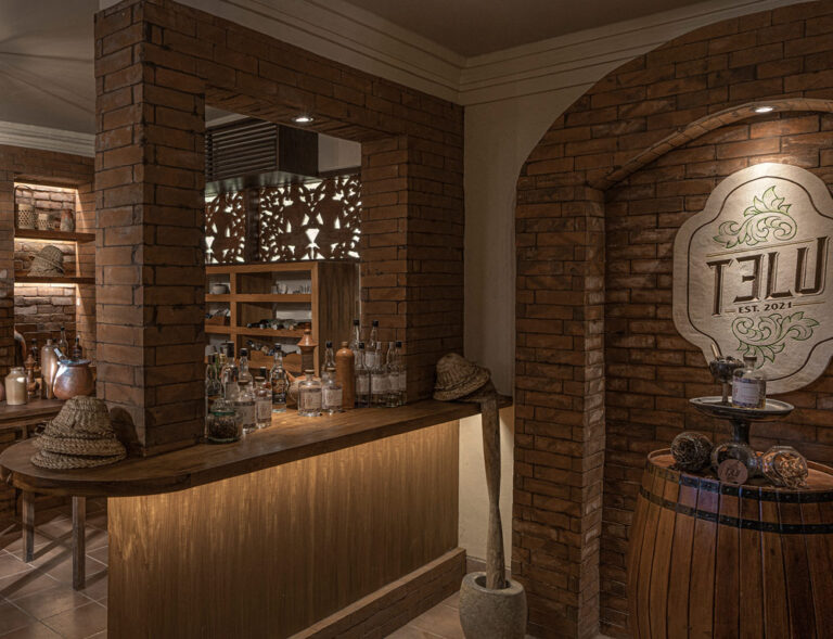 Inside TELU Bar, a Home for Arak and Sustainable Cocktails