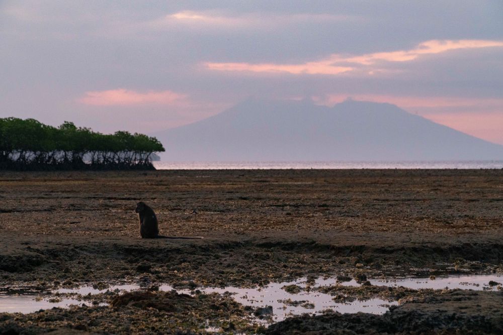 West Bali National Park
