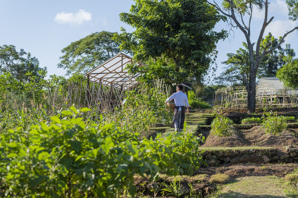 AYANA Farm(2)