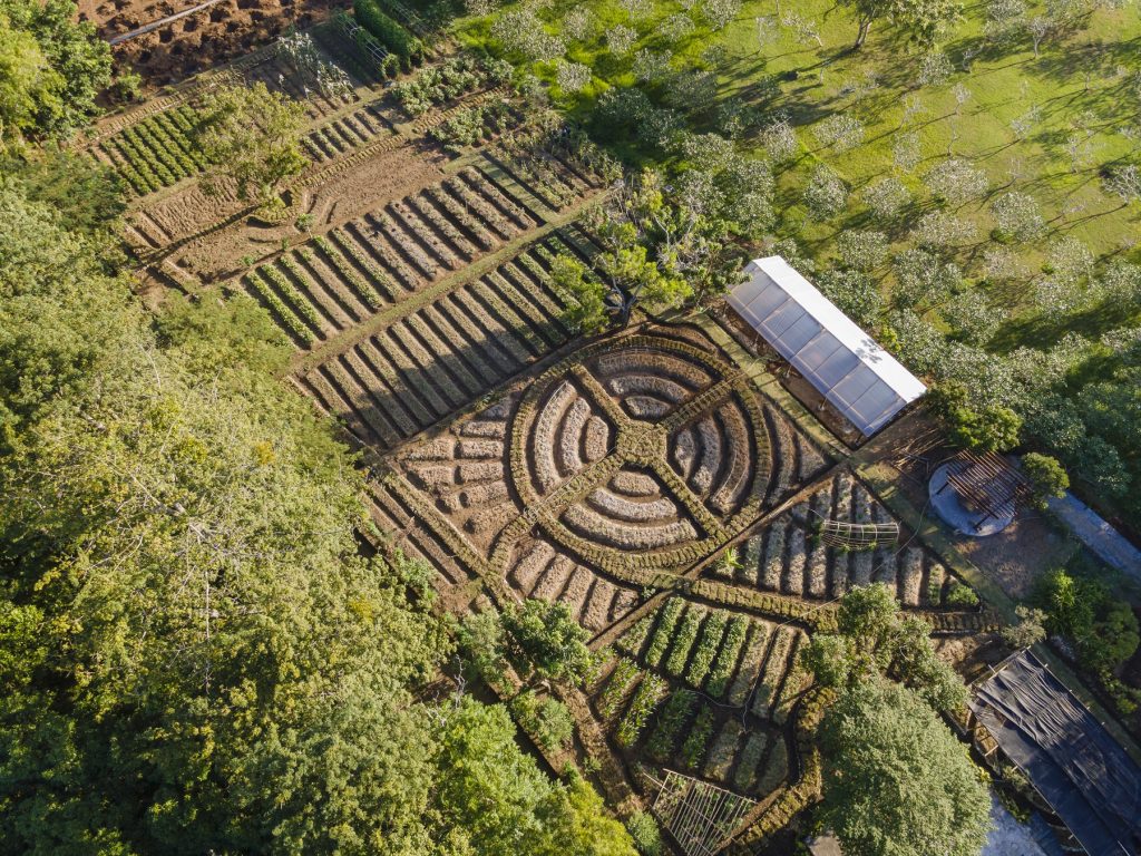 Aerial view of AYANA Farm