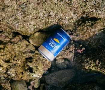 Island brewing
