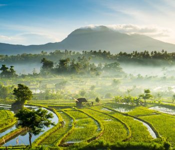 Eco-Tourism-Bali-2