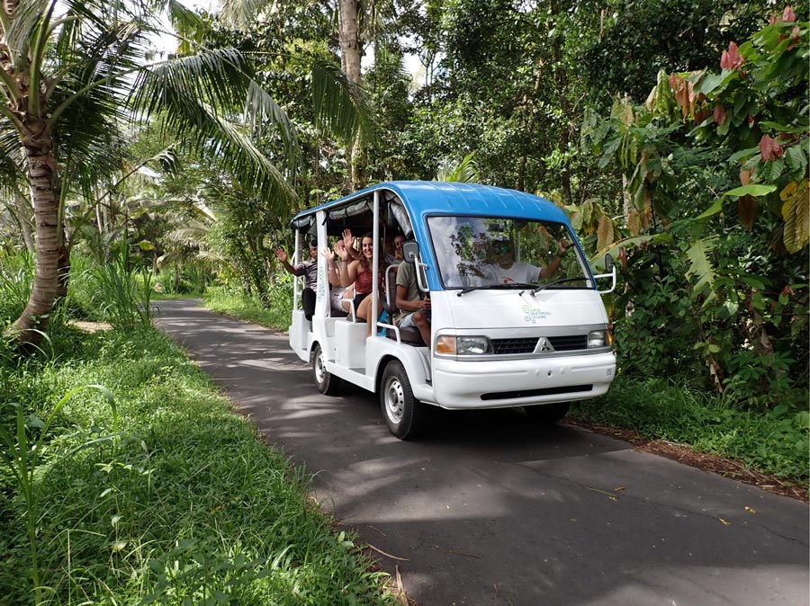 Ubud-Waterfall-Tours-Bali-1