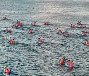 ROW for R.O.L.E 5.0 - ROLE Foundation