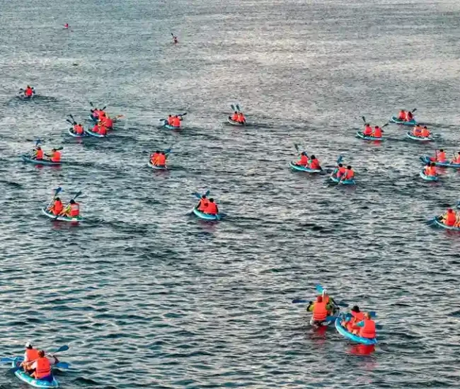 ROW for R.O.L.E 5.0 - ROLE Foundation