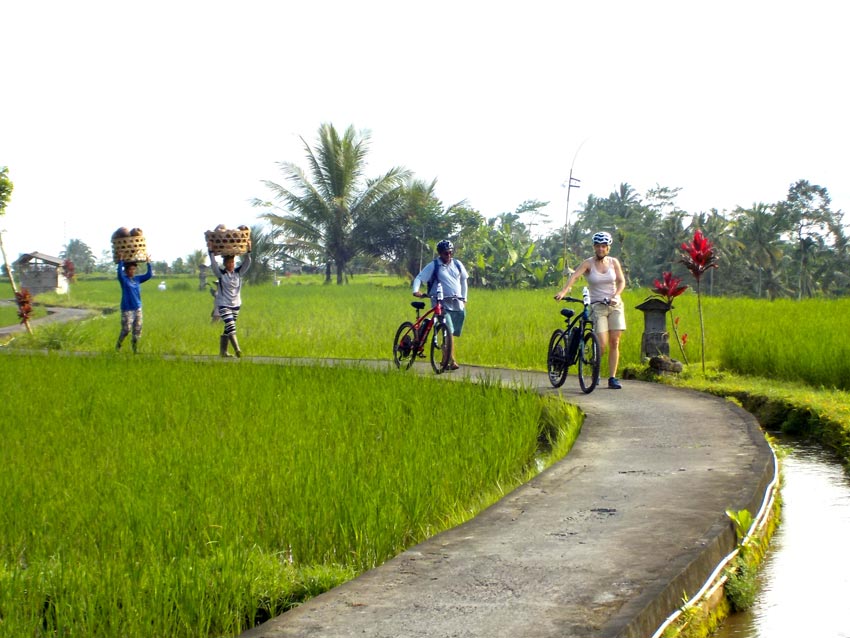 ebikes-Bali-Cycling-Tour-Ubud-3