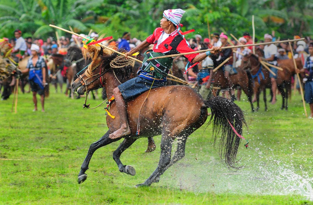 Sumba Pasola