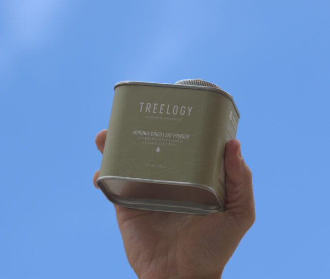 Treelogy 1