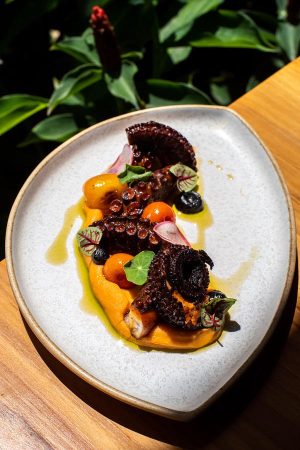 New Restaurants in Bali - Manggar - Octopus