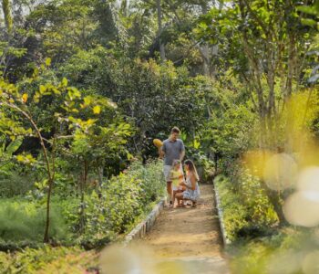 Agroforestry Tour