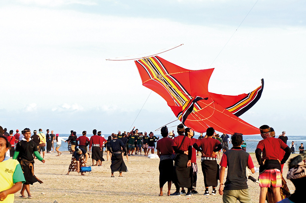 Kites in Bali 1