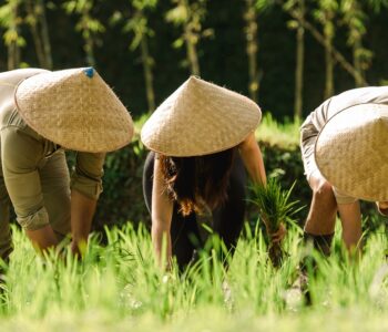 Alila Ubud - Hand's on Planting - Copy