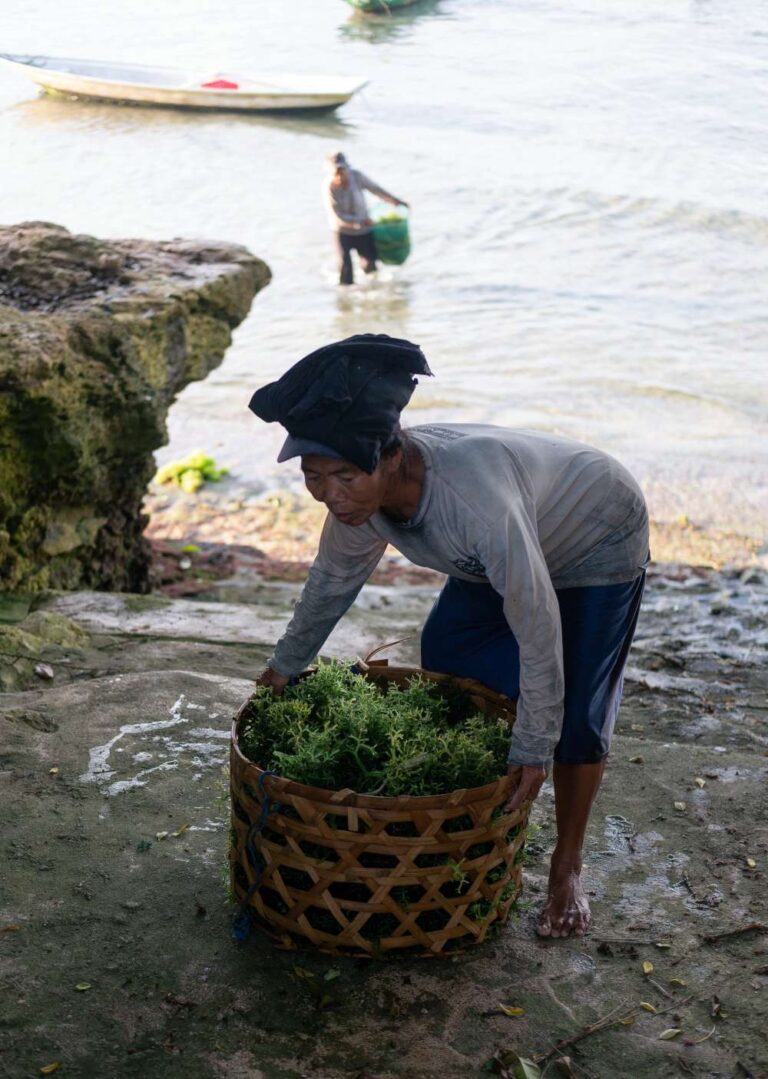 The Seaweed Farmers of Nusa Lembongan NOW! Bali