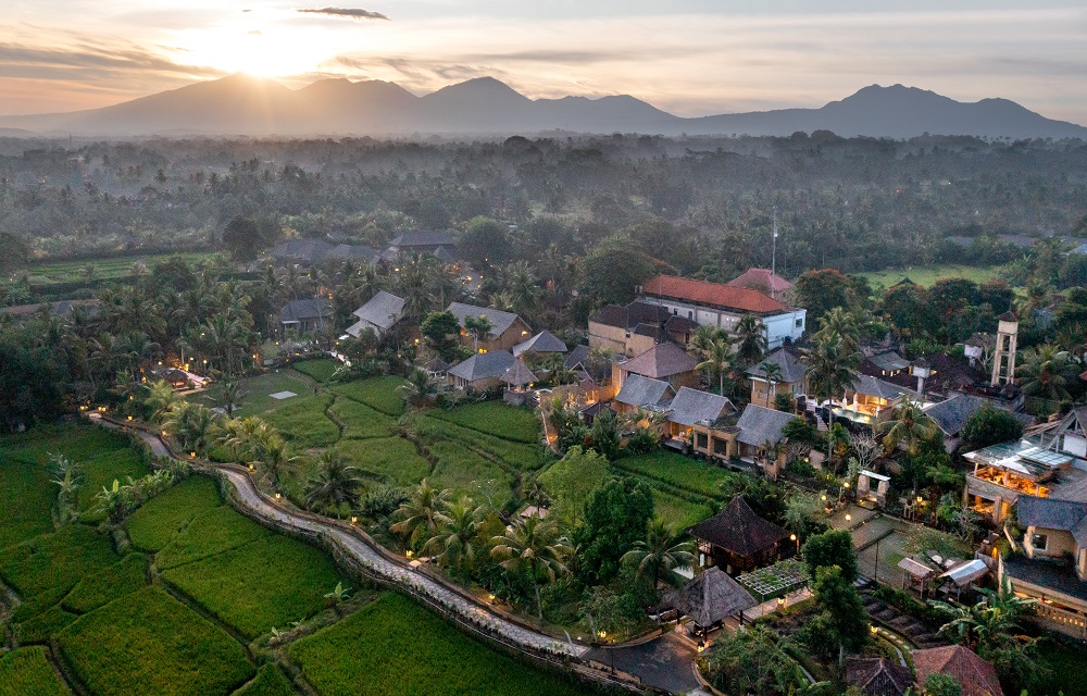 WDUU aerial