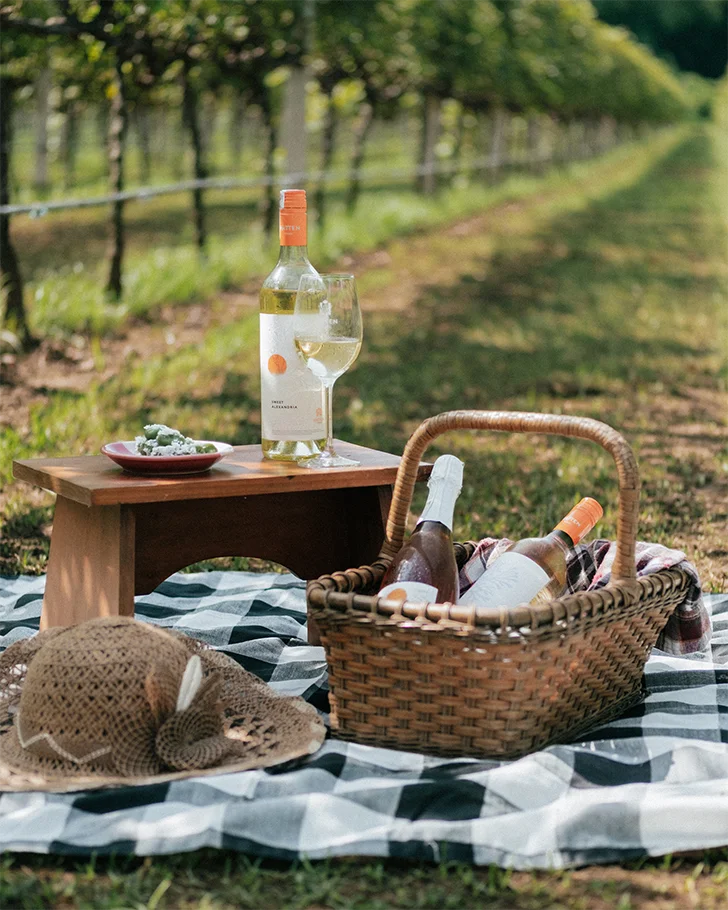 Hatten Wines Vineyard Experience