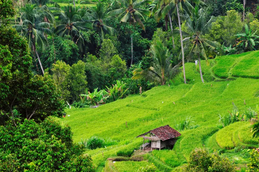 Mayong Village Road Trip Itinerary