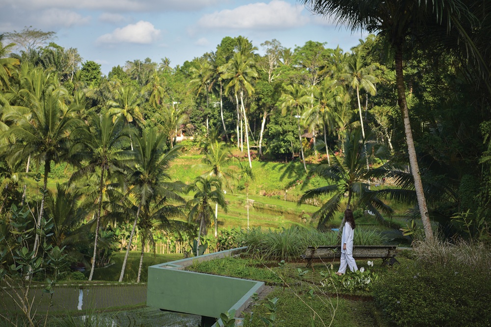 Wellness Retreats Bali - OneWorld_Tegallalang_Location_RooftopHerbGarden