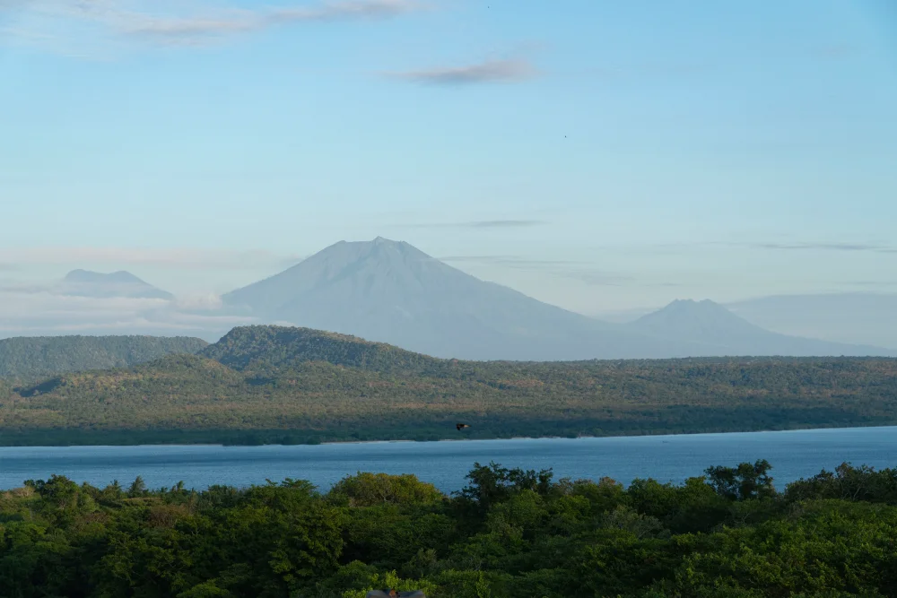 Bali Road Trip - West Bali National Park 2