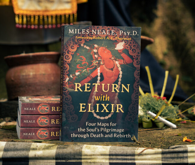 Return-with-Elixir-Miles-Neale-5