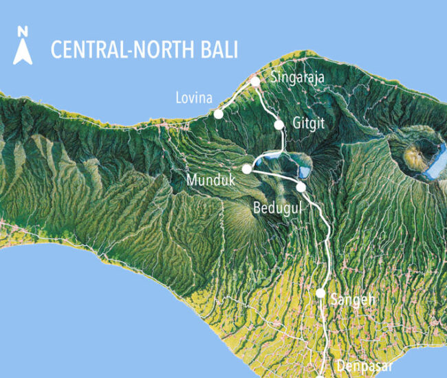 Road-Trip-to-Lovina-Bali