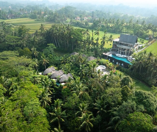 Abisena Wellness Resort Ubud 1