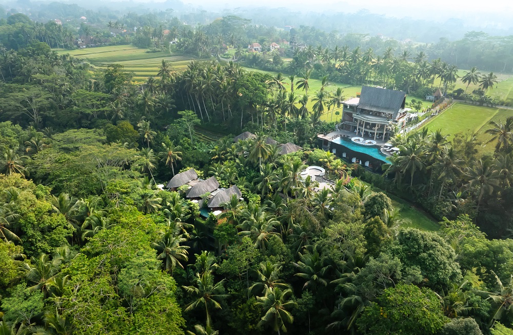 Abisena Wellness Resort Ubud 1