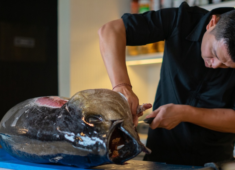 Siki Matsuri Tuna Cutting