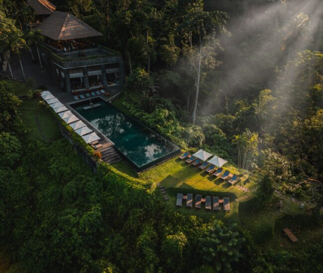 Alila Ubud Aerial