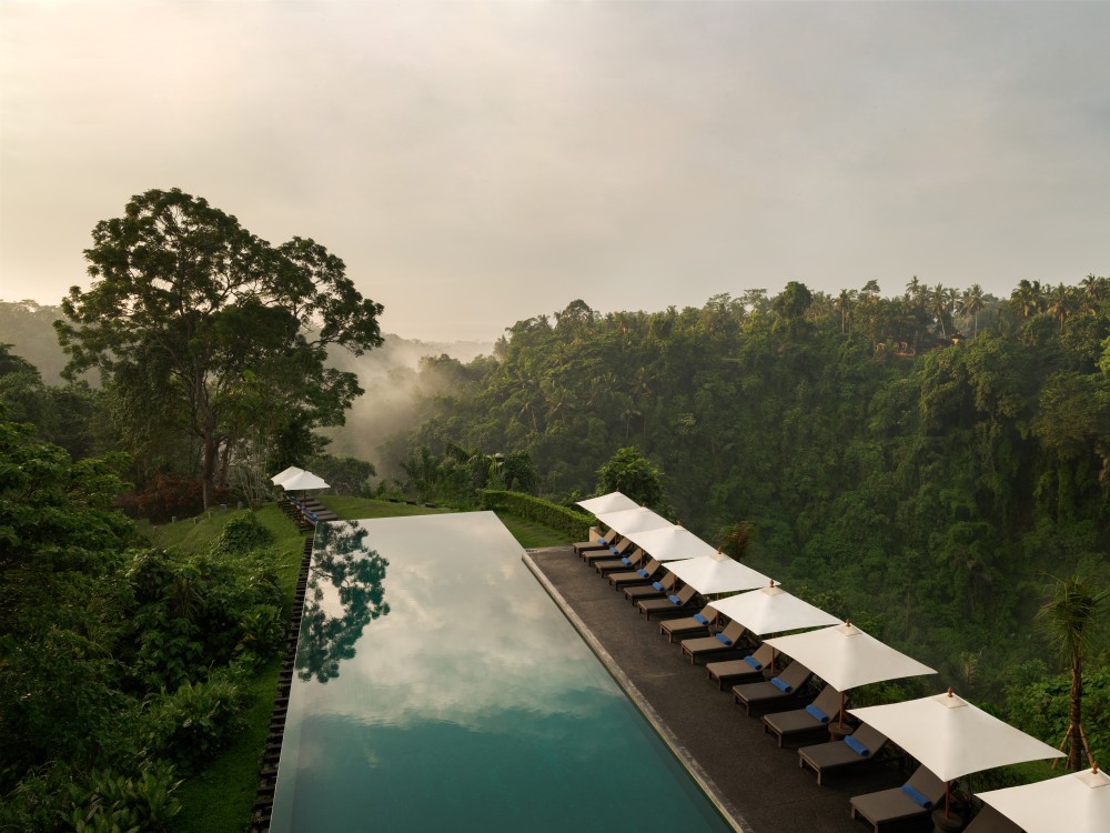 Alila Ubud Infinity Pool
