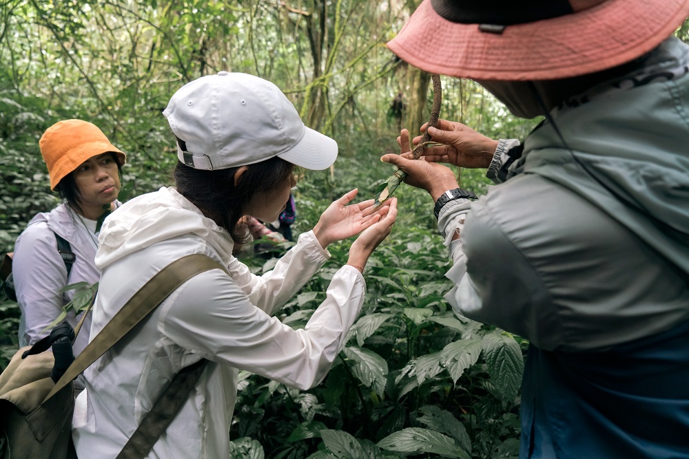 Conrad 135 - Signature Sensory Odysseys - Speakeasy Foraging and Forest Bathing (6)