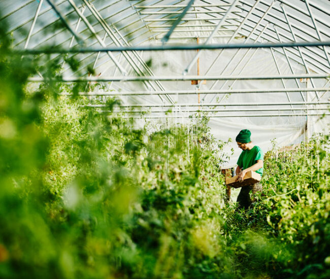 ESG-Compliance---Companies-in-Indonesia-must-now-demonstrate-their-commitment-to-sustainability-and-ethical-governance.