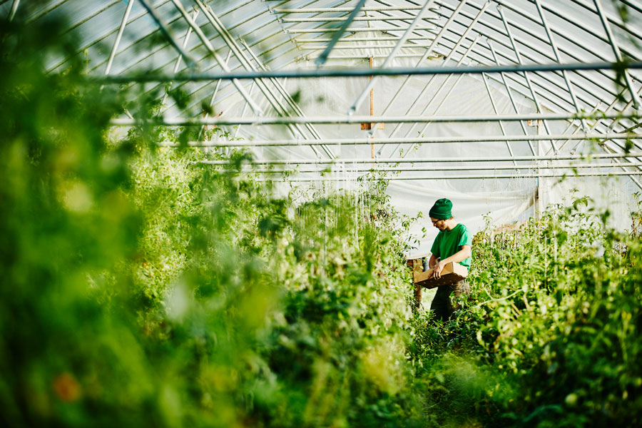 ESG-Compliance---Companies-in-Indonesia-must-now-demonstrate-their-commitment-to-sustainability-and-ethical-governance.