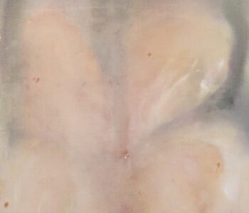 Salvita De Corte - The Shape of Stillness 1