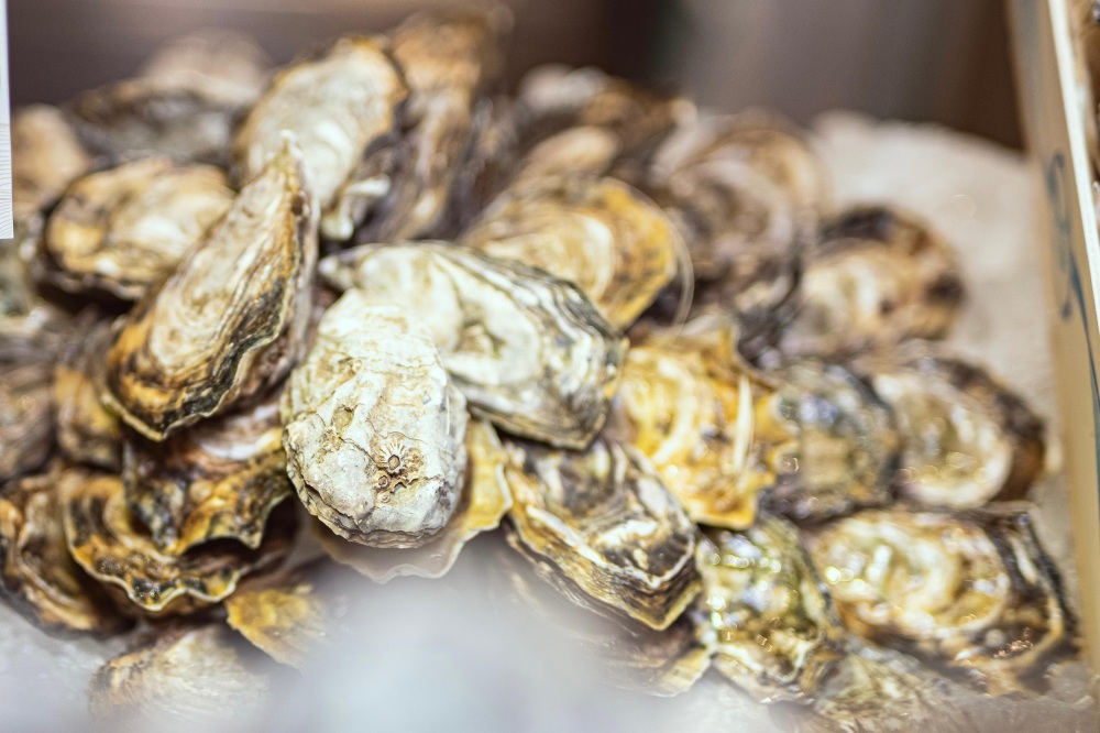 Oberoi Season of Joy 3