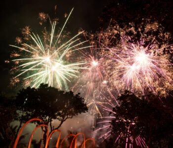 The Oberoi Festive Joy 5