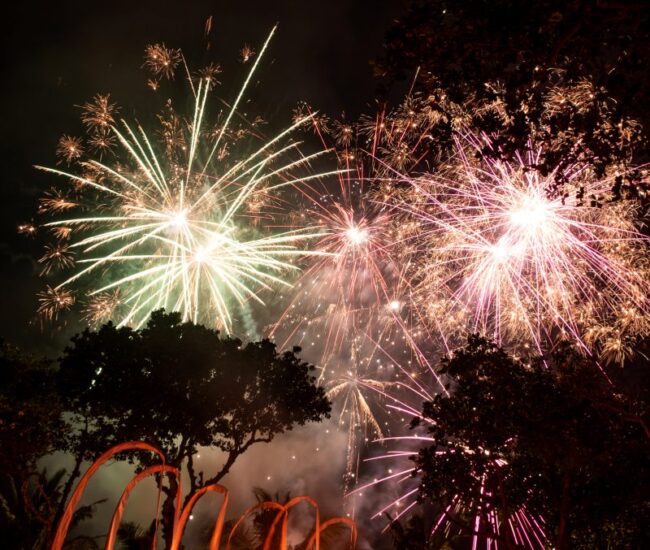 The Oberoi Festive Joy 5