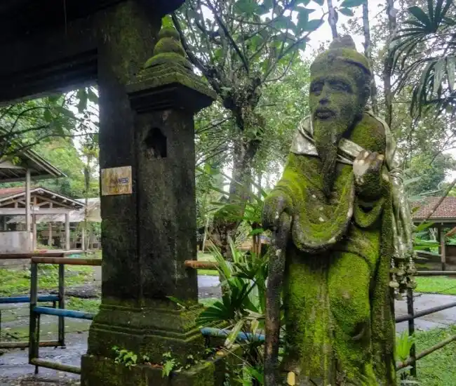 The Sound and Simplicity of Taro Village