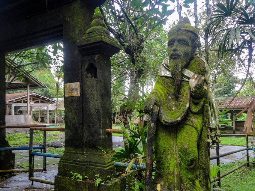 The Sound and Simplicity of Taro Village