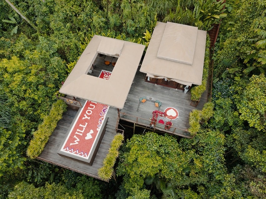 KANVA Magical Jungle Proposal 2