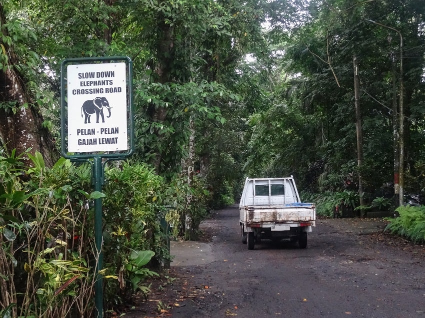 From treks through the forests and river valleys, to visiting the firefly gardens and conservation centre, and of course the white oxen centre, the experiences around Taro are subject to community decisions, which has helped to preserve this pocket of Bali.