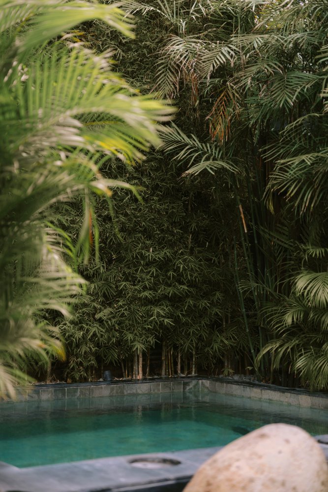 Recovery Area - RITE