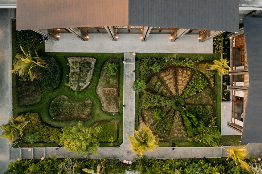 Syrco BASÈ unfolds across four interconnected spaces. The Restaurant presents seasonal tasting menus and a la carte dishes rooted in Indonesian flavours, often using produce harvested from the on-site regenerative garden. The Bar explores botanical mixology, crafting cocktails inspired by local herbs, spices and flowers. The Shop connects guests with handcrafted items used throughout the venue.