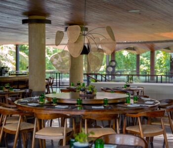 Plant-Based Restaurant in Bali - Tangi Restaurant 1