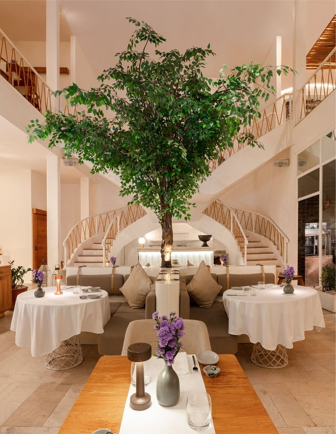 Since opening MAURI Restaurant in 2018, Maurizio Bombini has steadily shaped a legacy defined by authenticity, craftsmanship, and personal hospitality. The Pugliese-born chef has carved out a distinct space that brings Southern Italy's soul into dialogue with Bali’s ever-evolving dining landscape.