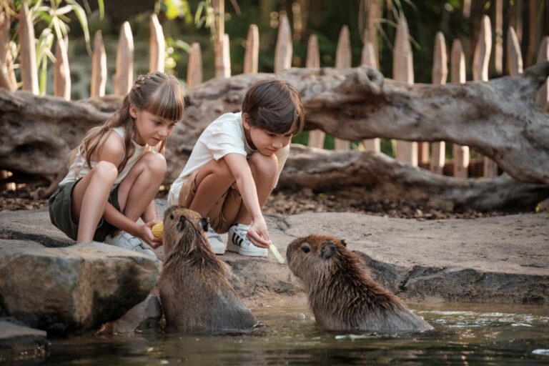 Coloriage Capybara Gratuit - télécharger et imprimer gratuit sur