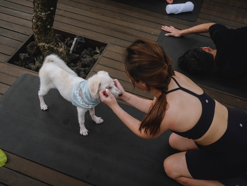 Seminyak Puppy Yoga 2