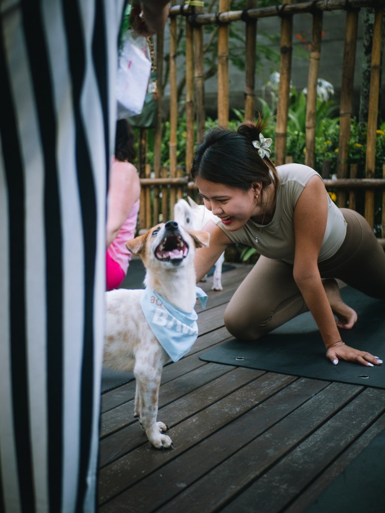 Seminyak Puppy Yoga 3