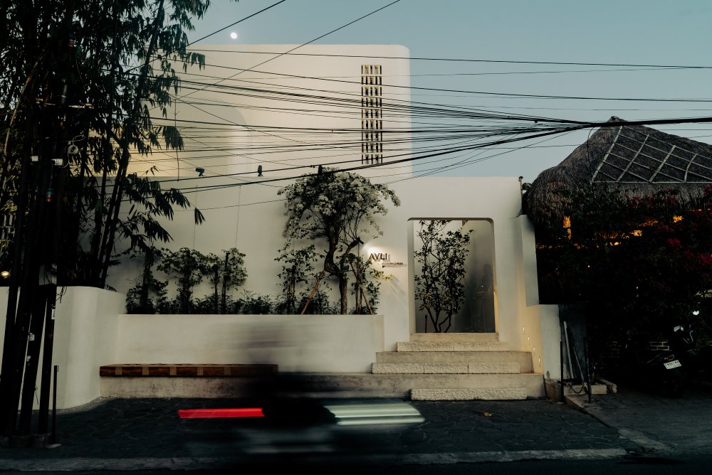 AVLI Facade