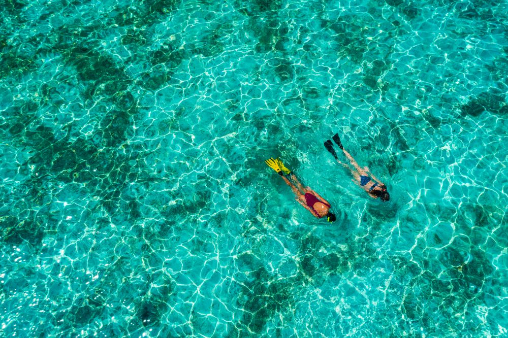 AYANA Komodo Snorkeling - Manta Point 2